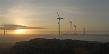 Vindkraft på land ivaretar i liten grad viktig natur